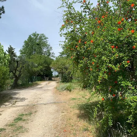 Stanza Privata Immersa Nel Pensionat Molino del Piano