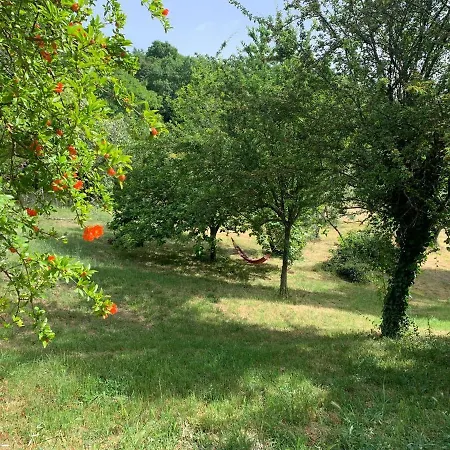 Stanza Privata Immersa Nel Molino del Piano