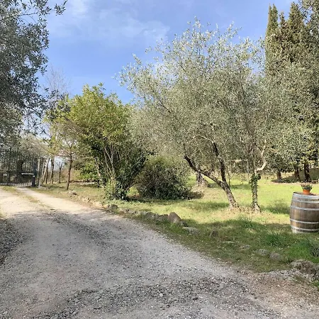 Stanza Privata Immersa Nel Konukevi