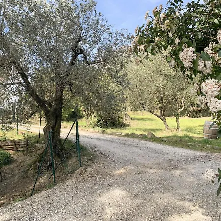 Stanza Privata Immersa Nel *